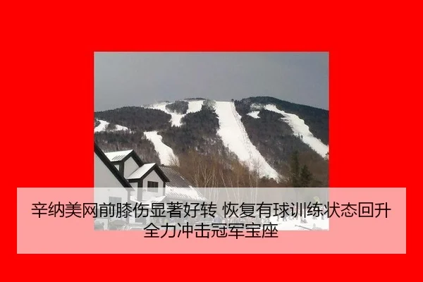 xin-na-mei-wang-qian-xi-shang-xian-zhu-hao-zhuan-hui-fu-you-qiu-xun-lian-zhuang-tai-hui-sheng-quan-li-chong-ji-guan-jun-3-163.jpg