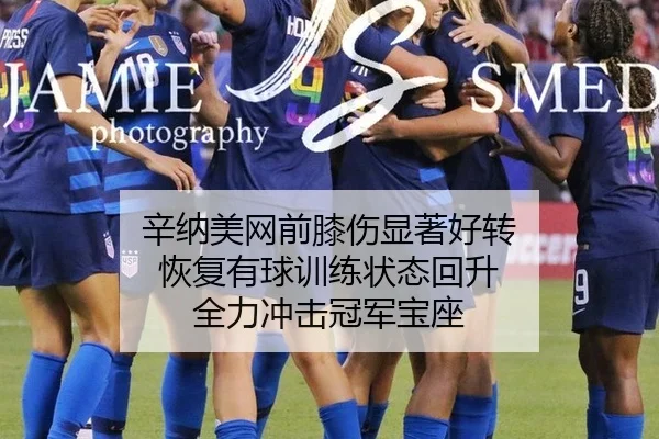 辛纳美网前膝伤显著好转 恢复有球训练状态回升 全力冲击冠军宝座