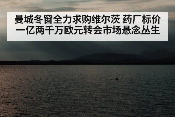 曼城冬窗全力求购维尔茨 药厂标价一亿两千万欧元转会市场悬念丛生